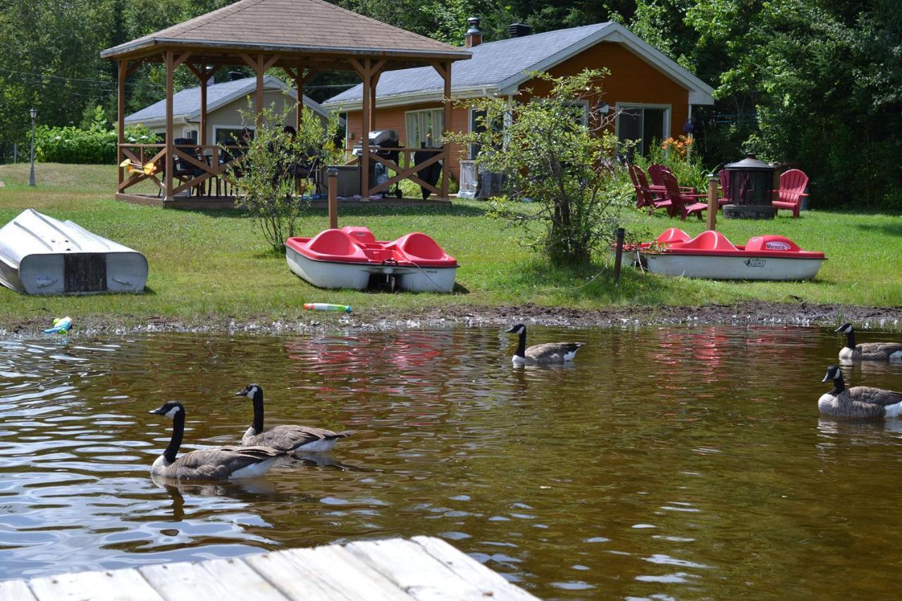 Les 4 chalets - Le 605 Lac-Saint-Paul Extérieur photo